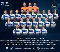 芬兰欧预赛:德国队被芬兰队逆转,遭遇失利的简单介绍 芬兰欧预赛:德国队被芬兰队逆转,遭遇失利的简单介绍